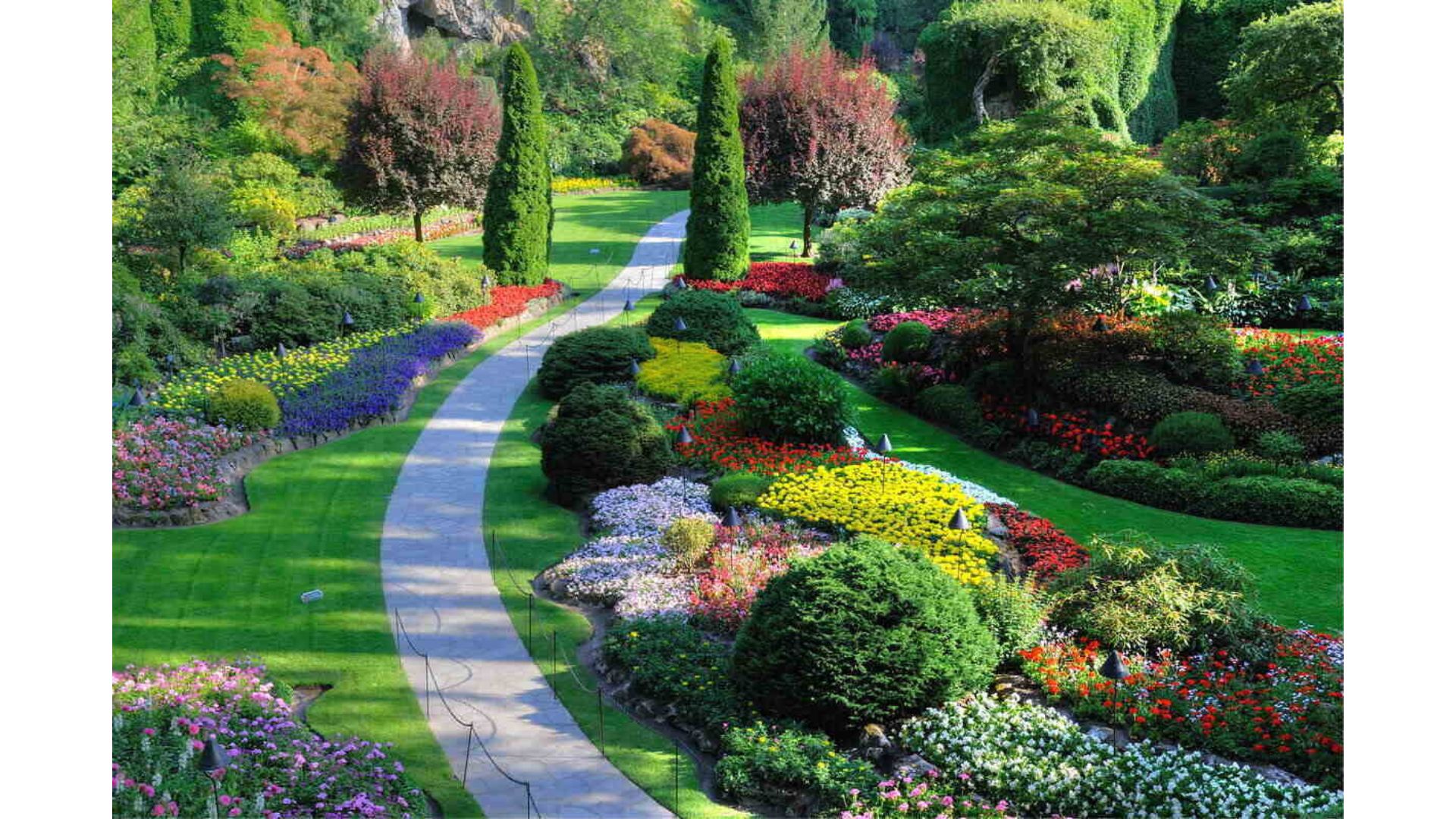 Incorporate complimentary colors into your landscaping.